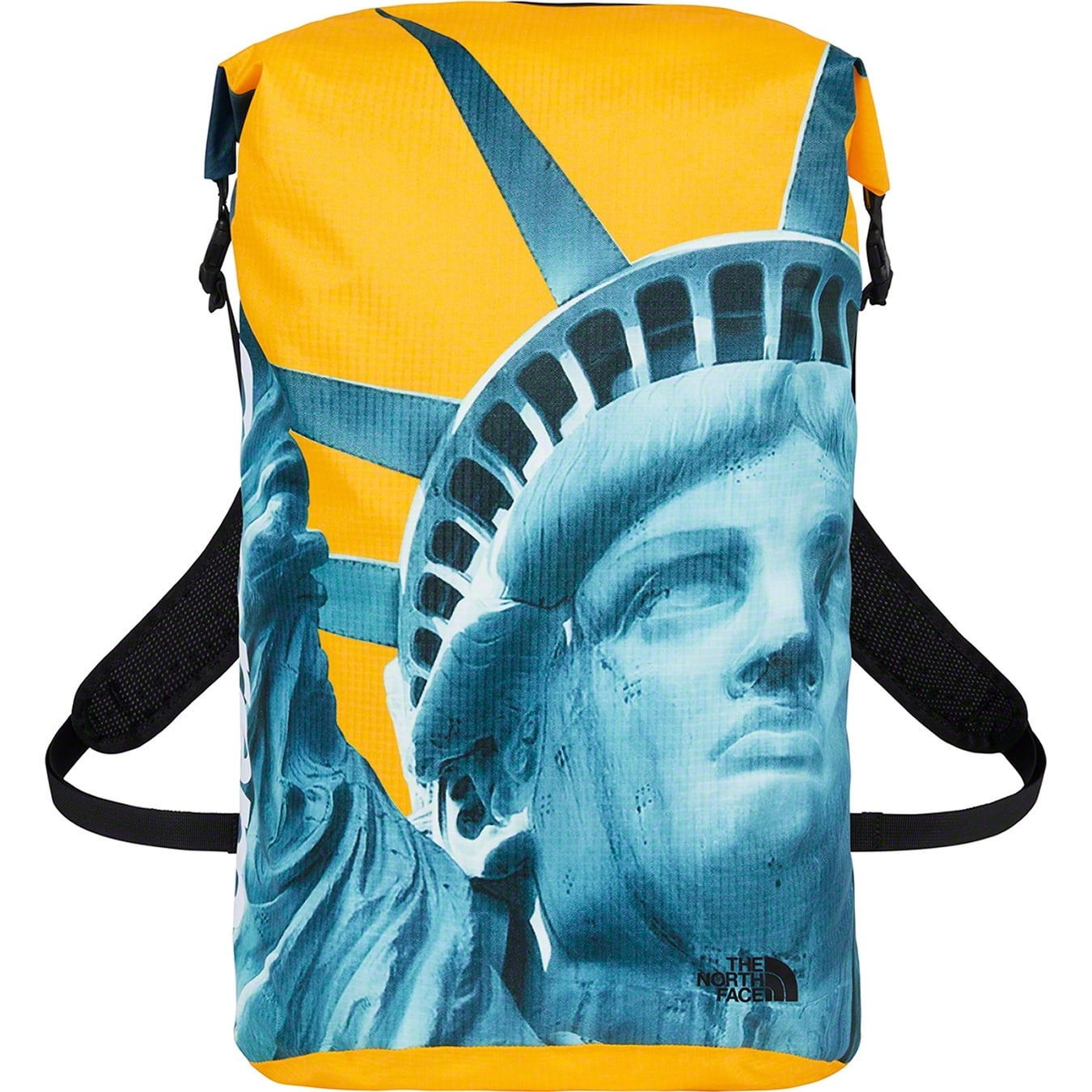 Supreme®/The North Face® Statue of Liberty Waterproof Backpack view 7